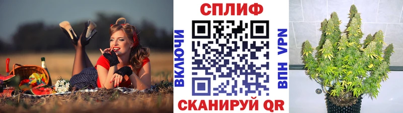 Каннабис SATIVA & INDICA  ссылка на мегу маркетплейс  Подольск 